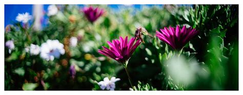 Image result for Class Represent in Java