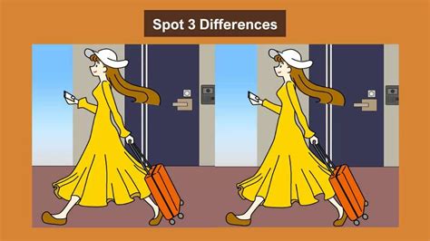 Spot 3 differences between the lady with the trolley bag pictures ...