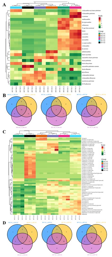 Comparative Metabolomic and Transcriptomic Analysis Reveals That ...