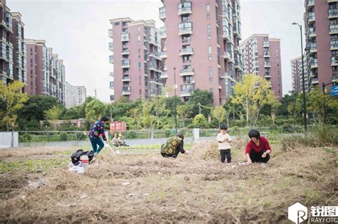 涧西区花千树小区业主私建违章建筑，瀛洲街道办为何迟迟不处理_百姓呼声_洛阳网