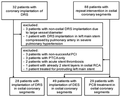 Clinical Outcomes after Additional Dynamic Renal® Stent Implantation ...