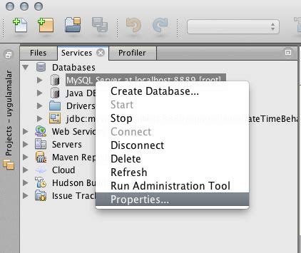 Image result for MySQL Java Connection NetBeans