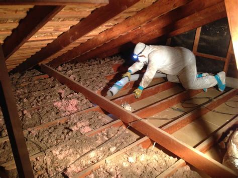 Attic Insulation Removal Ottawa & Gatineau