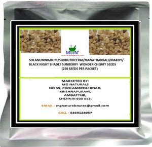 MGBN SOLANUM NIGRUM/SUKKUTI KEERAI/MANATHAKKALI/MAKOY/BLACK NIGHT SHADE ...