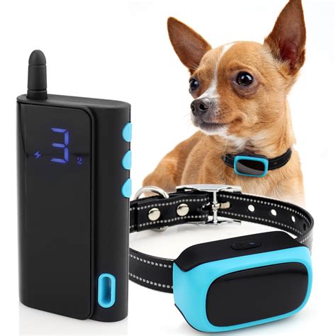 Dog Training Collar Electric Shock Collar at James Madrigal blog