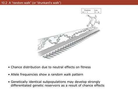 Random Walk without Drift 的图像结果