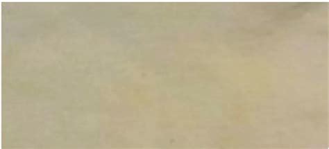 Image result for D65 Light Diffusers