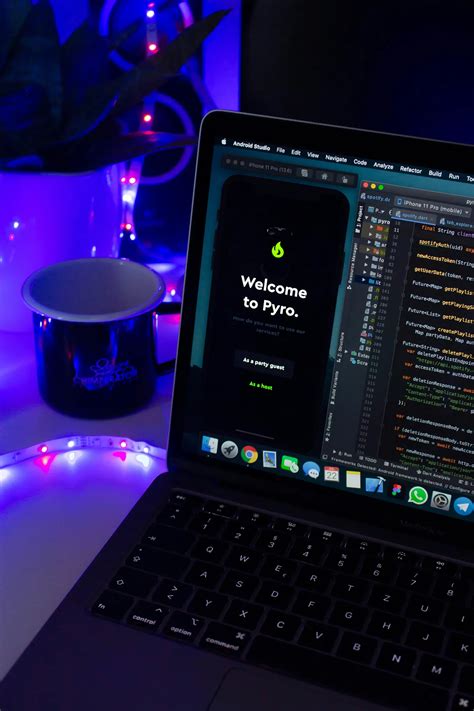 Hacking Projects Using Python 的图像结果