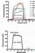 Image result for Fluorophotometry