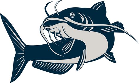 catfish illustration