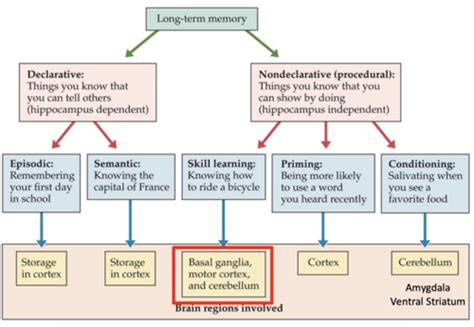 Image result for Transactive Memory Quizlet