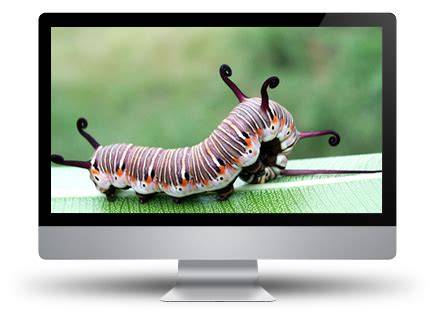 Image result for Python Multiple Lines of Code in Idle
