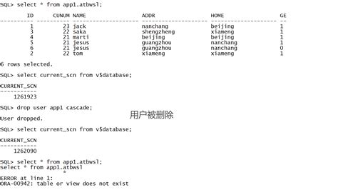 Check When Database Was Flash Back 的图像结果