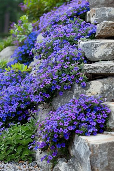 Pin by Hershey Chuck on Flowers,Plants Mountainside,Stones,Rocks in ...