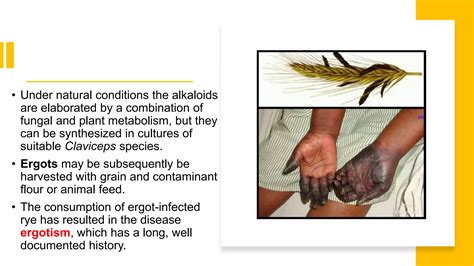 Ergot_Slide Share.pptx