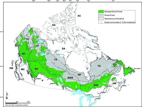 Climate change vulnerability and adaptation in the managed Canadian boreal forest