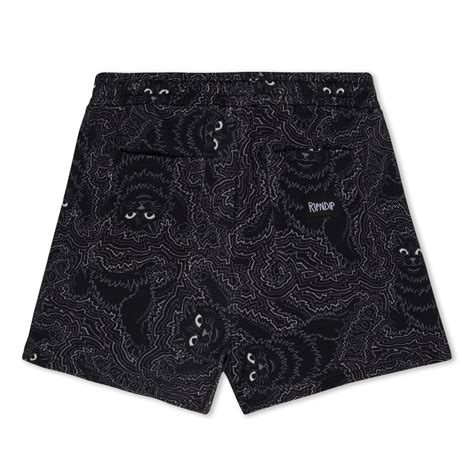 Big Pussy Energy Womens Sweat Shorts (Black) – RIPNDIP