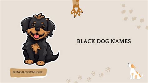 Black Dog Names In Other Languages at Verda Garcia blog