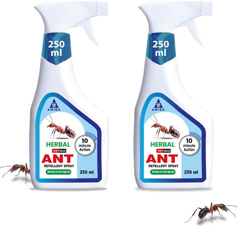 Terro Liquid Ant Killer Baits (6) : Amazon.in: Garden & Outdoors