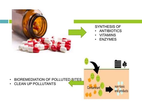 Microbiology 的图像结果
