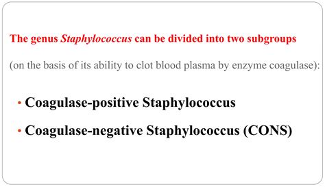 Staphylococcus | PPTX