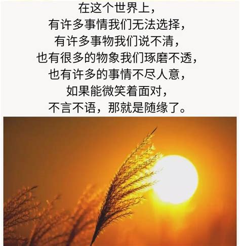 茫茫人海感恩遇见图片,缘分相遇图片,相遇靠缘分带字图片(第11页)_大山谷图库