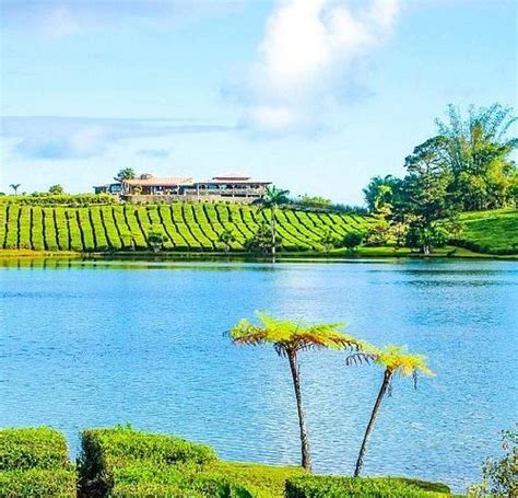 10 BEST Places to Visit in Curepipe - UPDATED 2022 (with Photos ...