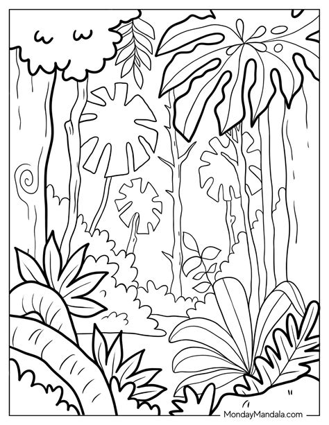 Roar into Adventure with Coloring Pages of Jungle Animals
