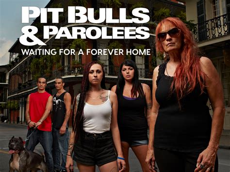 Prime Video: Pit Bulls & Parolees: Waiting for a Forever Home - Season 1