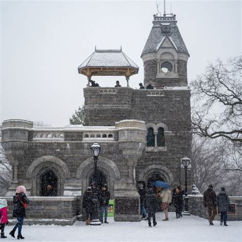 New Ice Rink at Central Park’s Davis… | Central Park Conservancy