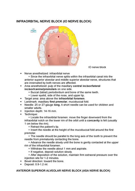 Infraorbital Nerve Block Landmarks