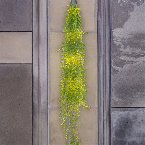 Artificial Hanging plant parrot green colour — Plant N Pots