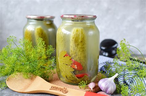 Соленые огурцы на зиму - пошаговый рецепт с фото на Повар.ру
