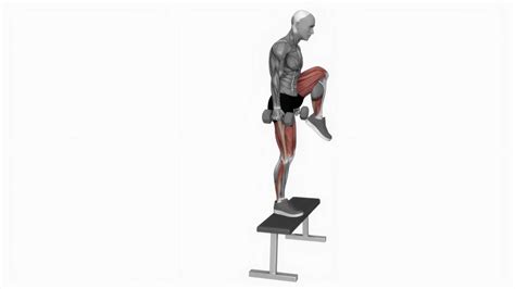 Step Up Knee Raise Muscles Worked at Rory Love blog