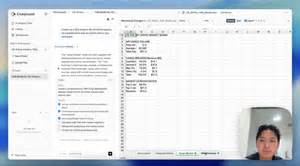 What is Compound AI: 5 key features of the finance spreadsheet tool