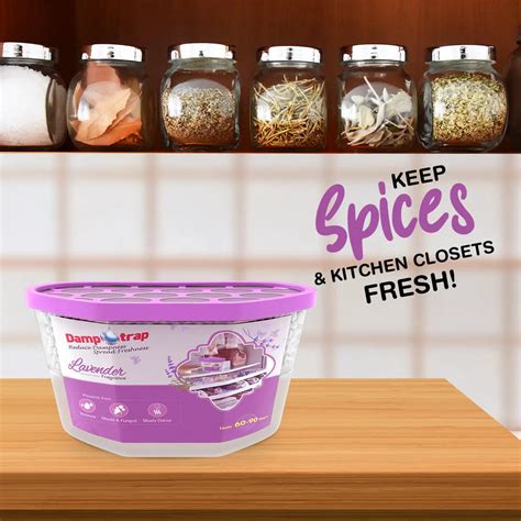 Moisture Absorber Box : The Ultimate Solution for Damp Environments