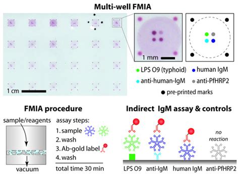 A Rapid, Multiplexed, High-Throughput Flow-Through Membrane Immunoassay ...