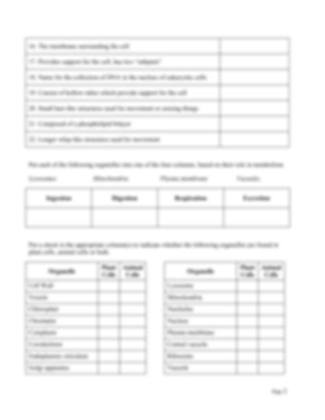 Cell Structure Worksheet Answer Key 的图像结果