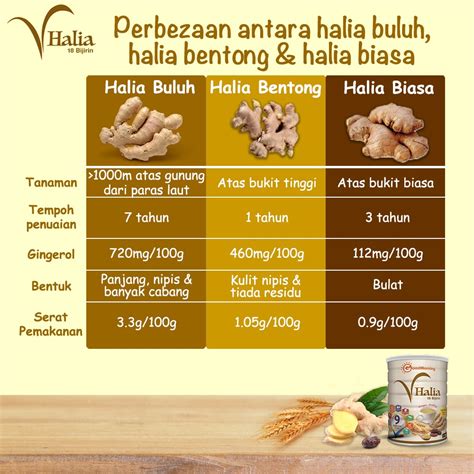 khasiat air halia lemon madu