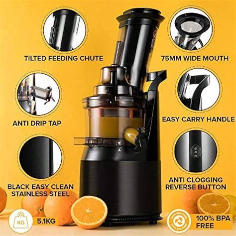 Whole Fruits Vegetables Masticating Juicer Fresh Juice Sorbet Ice Cream ...