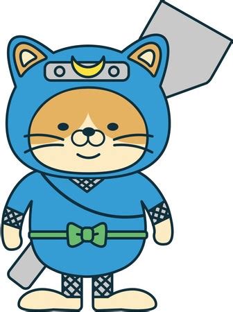 Image result for Java Validation Form
