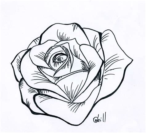 rose drawing stencil