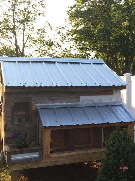 Adding Metal Roof To Chicken Coop at Emma Gresswell blog