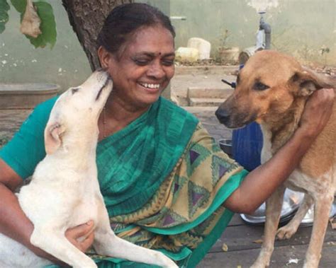 55-Year-Old Gracy Edward Feeds 60 Stray Dogs Daily | Femina.in
