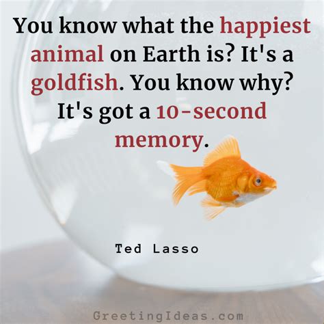 30 Funny Goldfish Quotes Sayings On Personal Growth