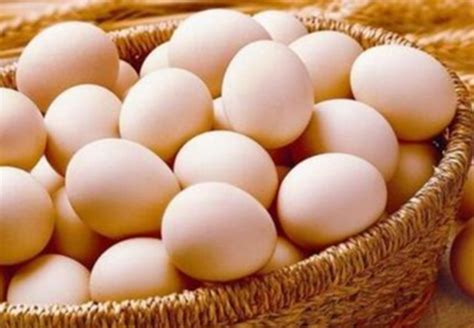 稳产保供支援成都防疫 这家企业每天生产鸡蛋近60吨- 南方企业新闻网