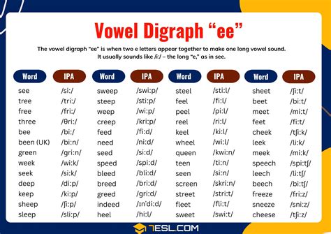 Vowel Digraph EE: Definition, Sound, and Examples • 7ESL