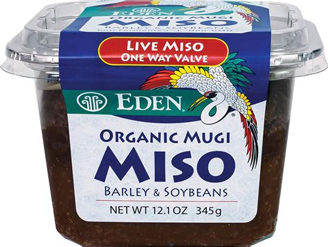 Amazon.com: MISO MASTER MISO PASTE TRAD RED ORG 16OZ : Grocery ...