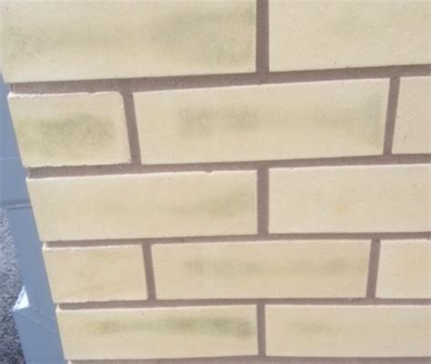 How to Clean Bricks & Brickwork | Wienerberger UK