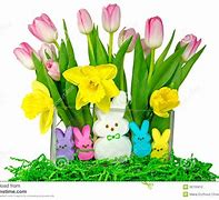 Image result for Pretty Purple Flowers and Bunnies